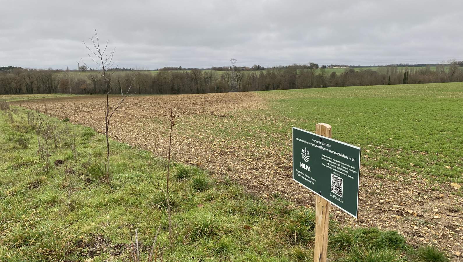 Le Programme Humus by Milpa - Notre actualité