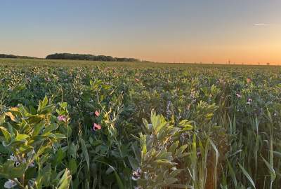 Vous souhaitez en savoir plus  ?